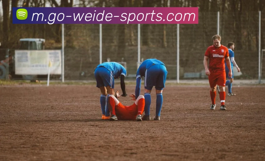 韦德体育服务体系